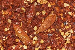Images Dated 13th June 2012: Dried cracked hot chili, organic quality