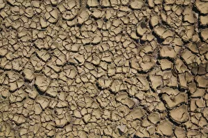 Images Dated 15th June 2011: Dried and cracked mud, Quebec, Canada