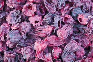 Images Dated 30th October 2011: Dried hibiscus flowers from Egypt
