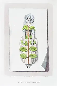 Grandville Prints: Dried periwinkle- Hand colored plate from 'Les Fleurs Animees by J.J.Grandville 1867