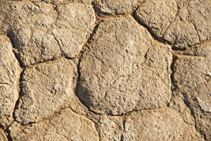 Images Dated 3rd September 2012: Dried sand ground, Dead Pan, Sossusvlei, Namib Desert, Namibia