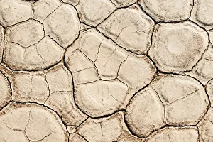 Images Dated 3rd September 2012: Dried sandy ground, Dead Pan, Sossusvlei, Namib Desert, Namibia