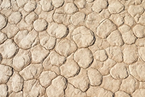 Images Dated 3rd September 2012: Dried sandy ground, Dead Pan, Sossusvlei, Namib Desert, Namibia