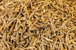 Images Dated 5th April 2012: Dried Sardines or Pilchards -Sardina pilchardus-