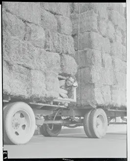 Tiredness Prints: Driver Sleeping in Hay Truck