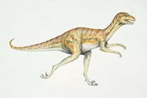 Strength Gallery: Dromaeosaurus, red and black striped dinosaur with strong hind legs, side view