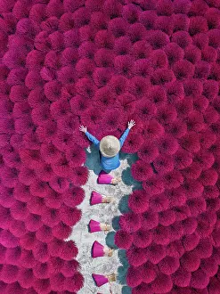 Drone image directly above a Vietnamese woman organising bundles of drying incense, Hanoi, Vietnam