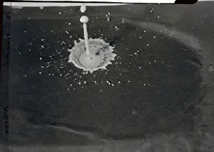 Photographic Study Prints: Drop of Milk Hitting Flat Surface