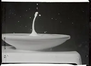 Drop in Milk Saucer