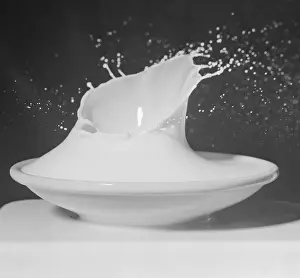 Drop in Milk Saucer