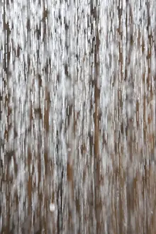 Flows Prints: Dropping water, water drops, in front of bamboo