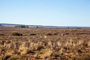 Images Dated 2nd November 2012: The dry and arid landscape in the Northern Cape South Africa