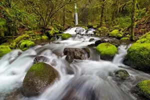 Images Dated 25th March 2016: Dry Creek Falls in Springtime