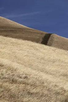Dried Up Prints: Dry mountain hill, California, USA