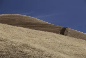 Dried Up Prints: Dry mountain hill, California, USA