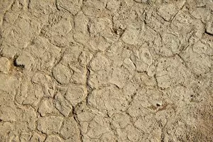 Dry sandy soil, Sossusvlei, Namib Naukluft Park, Namibia