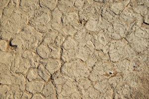 Images Dated 2nd September 2012: Dry sandy soil, Sossusvlei, Namib Naukluft Park, Namibia