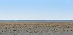 Images Dated 21st August 2012: Dry tufts of grass at the edge of the Etosha Pan, salt pan, Etosha National Park, Namibia