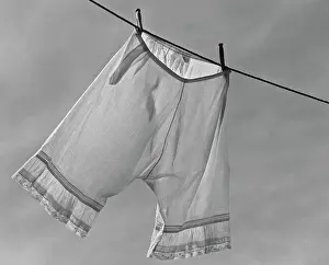 Washing Line Prints: Drying Bloomers