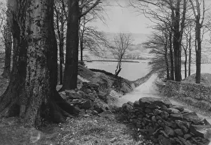 Drystone Lane