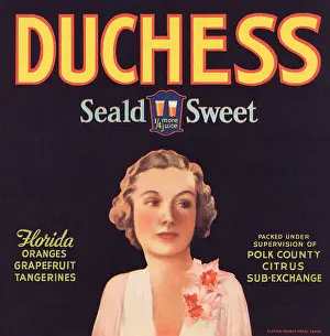 Florida Prints: Duchess Seald Sweet