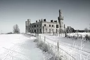 Images Dated 22nd December 2010: Ducketts Grove, Ireland