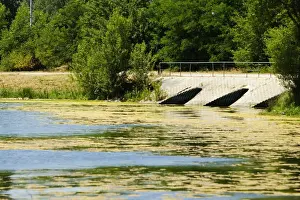 Bordeaux Lake Prints: Duckweed floating on water, Bordeaux Lake, Bordeaux, Aquitaine, France
