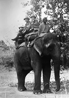 Duke Prints: Duke Of Connaught Rding Elephant;Hunting