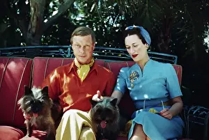 Duke Prints: Duke and Duchess of Windsor with Dogs