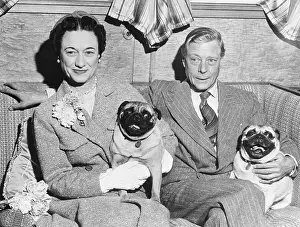 Duke and Duchess of Windsor Posing with Their Dogs