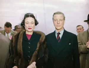 アート・デザイン・音楽 The Duke&Duchess of Windsor The Duke and Duchess of Windsor's Passion for Pugs