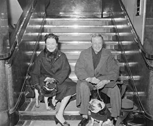 Duke and Dutchess of Wondsor woth Dogs