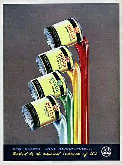 Dulux Paint