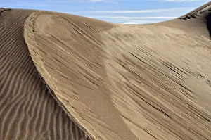 Desolate Prints: Dune crest, sand ridge, Great Sand Dunes National Park in Mosca, Colorado, USA