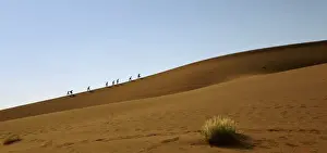 Hike Prints: Dune, Sossusvlei, Namib-Naukluft National Park, Namibia, Africa