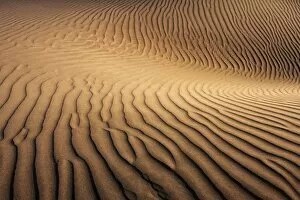 Images Dated 20th July 2018: Dunes of Maspalomas, Dunas de Maspalomas, structures in the sand, nature reserve, Gran Canaria