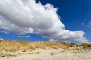 Images Dated 26th March 2013: Dunes, Sankt Peter-Ording, Eiderstedt peninsula, Schleswig-Holstein, Germany