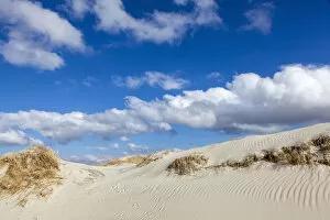 Images Dated 26th March 2013: Dunes, Sankt Peter-Ording, Eiderstedt peninsula, Schleswig-Holstein, Germany