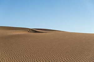 Dunes, Sossusvlei, Namib-Skeleton Coast National Park, Namibia