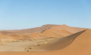 Sand Desert Prints: Dunes, Sossusvlei, Namib-Skeleton Coast National Park, Namibia