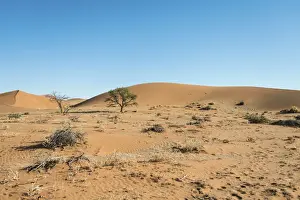 Sand Desert Prints: Dunes, Sossusvlei, Namib-Skeleton Coast National Park, Namibia