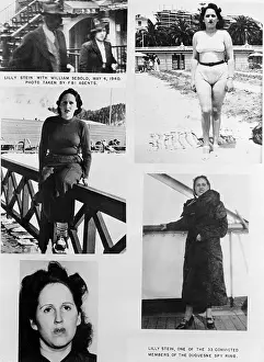 Duquesne Spy Lily Stein