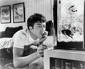 Dustin Hoffman In The Graduate