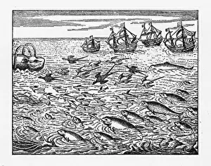 Carnivore Prints: Dutch Navigators Encountering Flying Fish Illustration