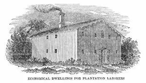 Images Dated 18th June 2015: Dwelling for plantation workers engraving 1841