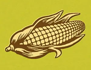 Illust Prints: Ear of Corn