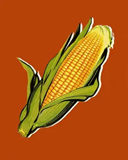 Corncob Prints: Ear of Corn