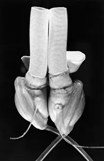 Artificial Prints: Early Artificial Heart