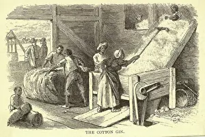 Early Illustration of the Cotton Gin