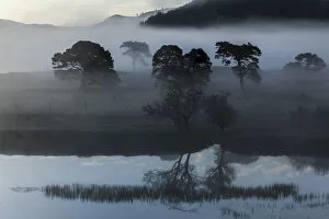 Morning Fog Gallery: Early morning fog at Loch Arkaig, Fort William, Highlands, Scotland, United Kingdom